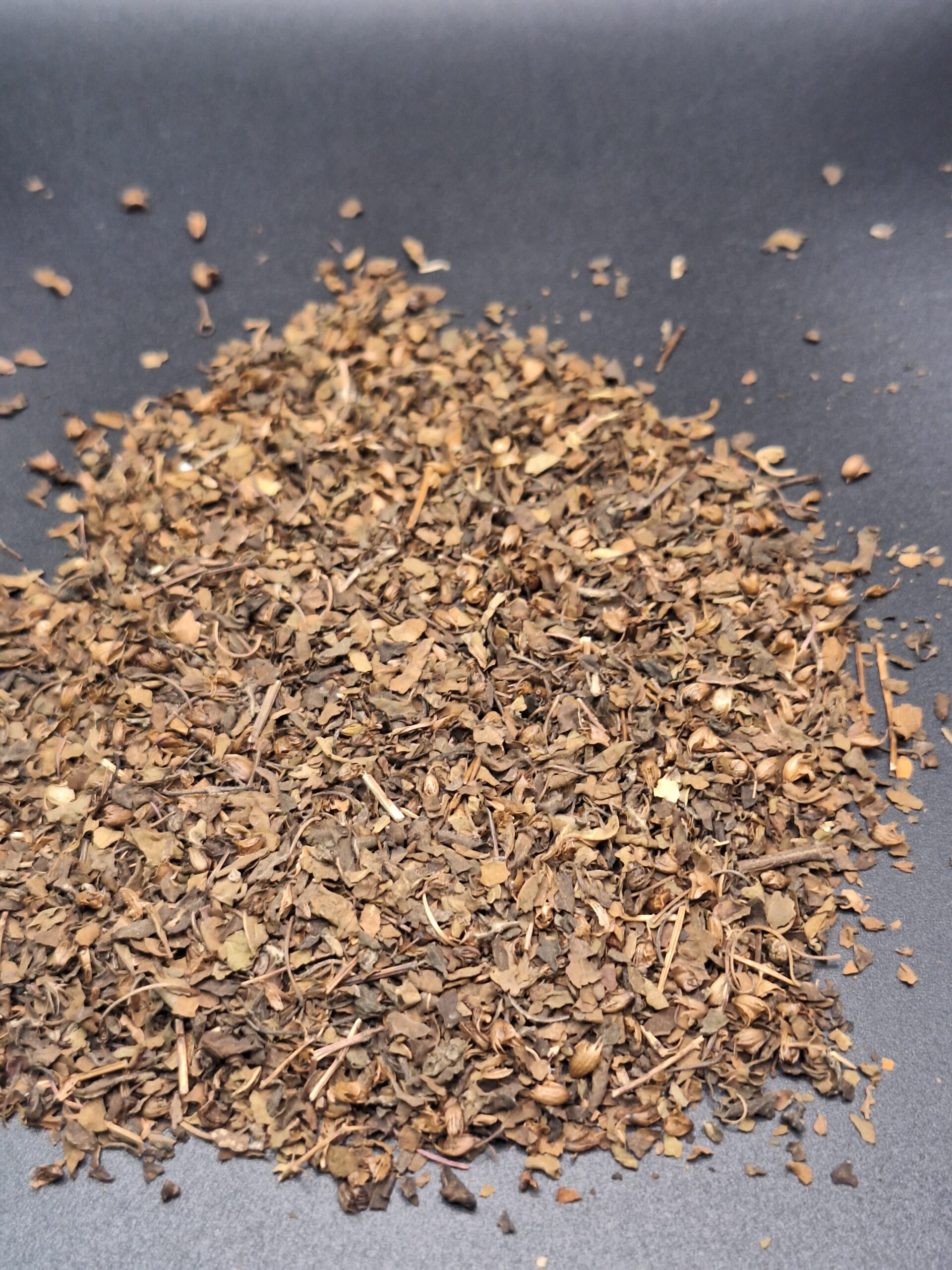 Tulsi Holy Basil - Image 3
