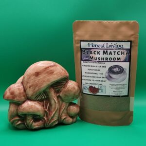 Black Matcha Mushroom